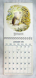 Vintage 1975 2025 Beatrix Potter Appointment Calendar